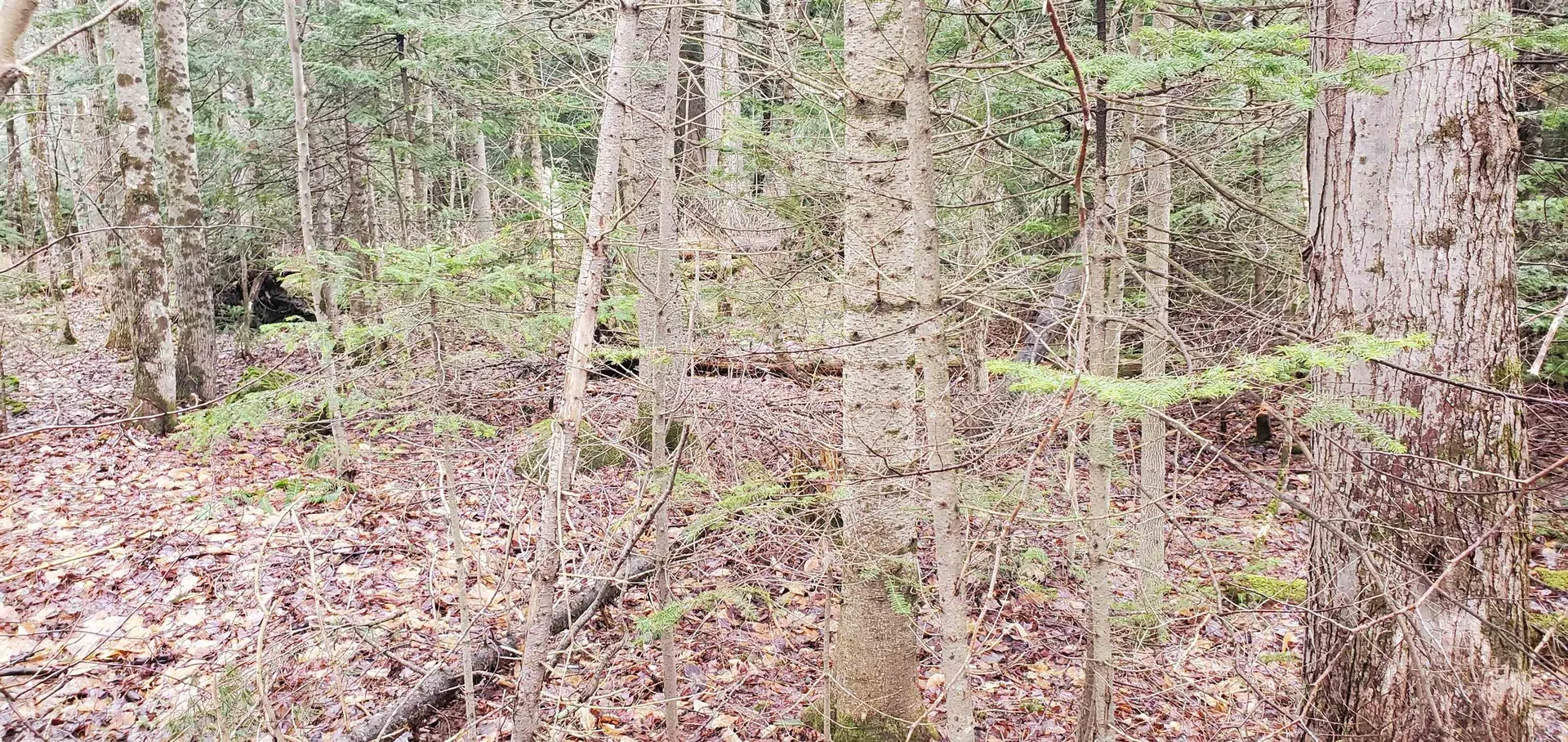 00 Piermont Heights Road Piermont NH 03779