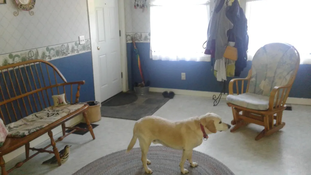 39 Brooks Place Glover VT 05839