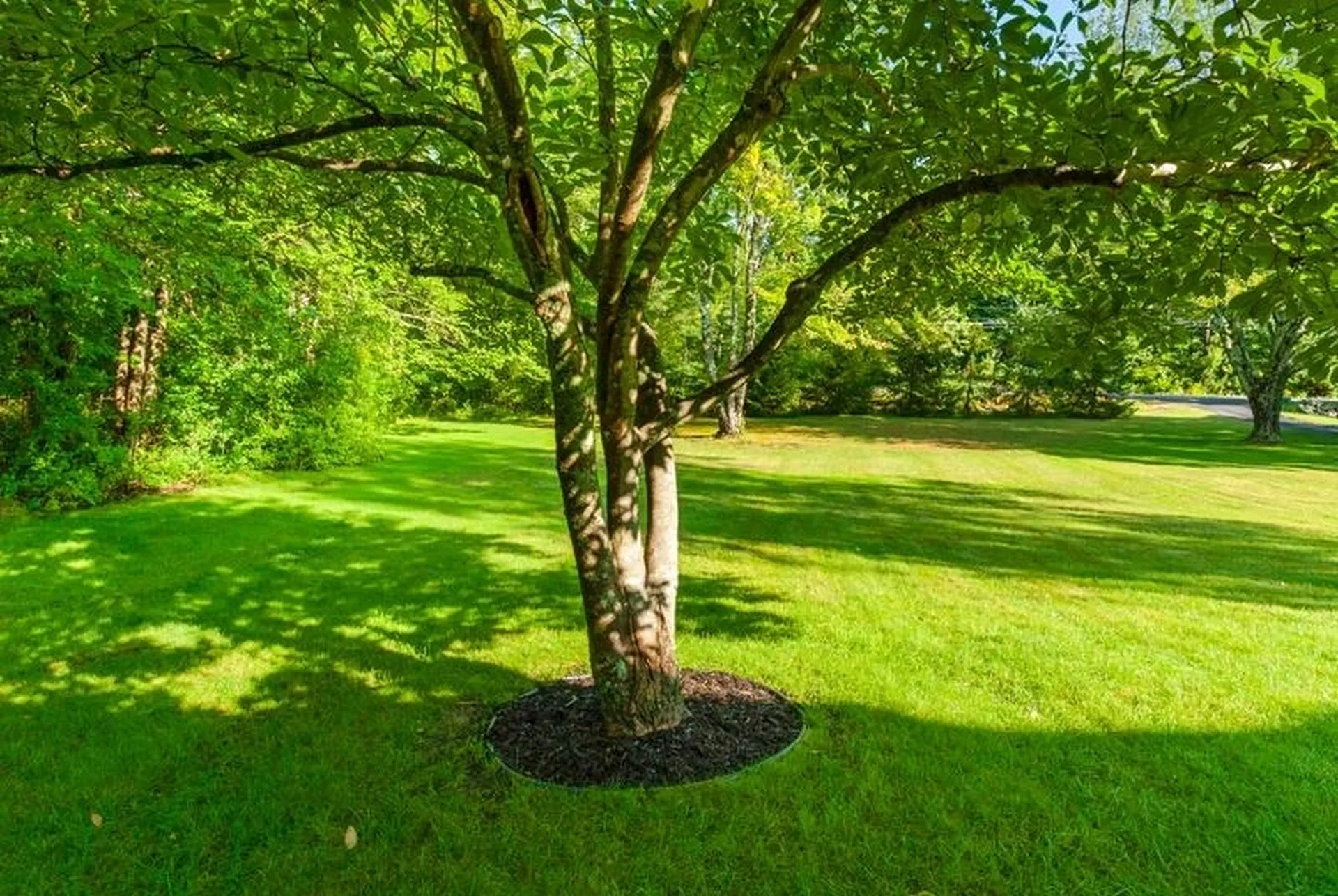 120 Exeter Road North Hampton NH 03862