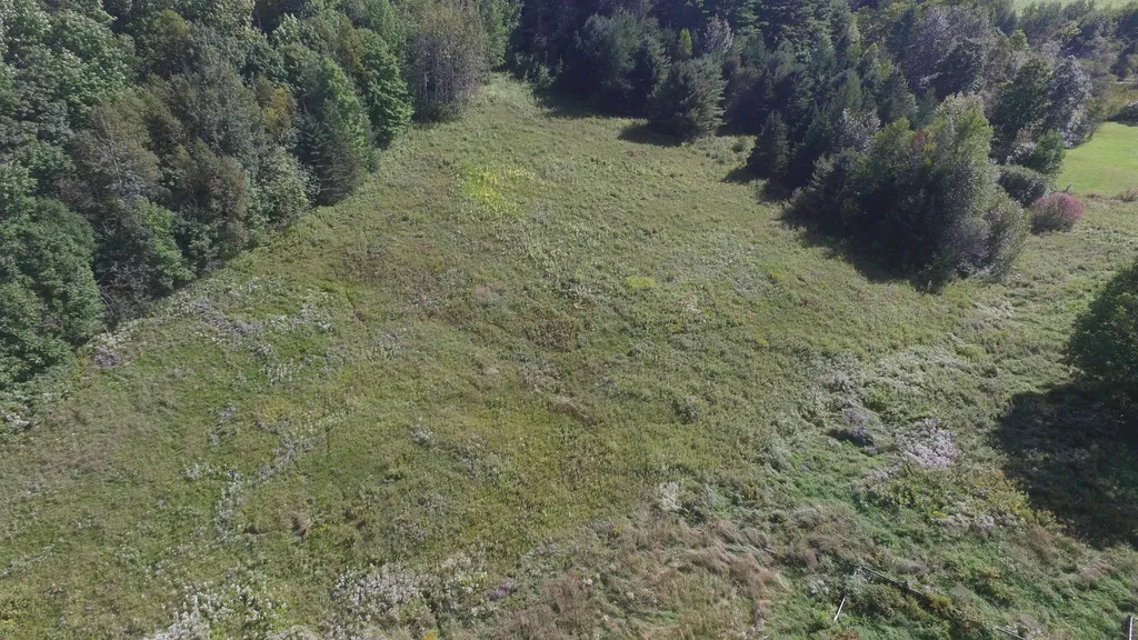 0 ster Hill Road Danville, VT Real Estate MLS 4882086