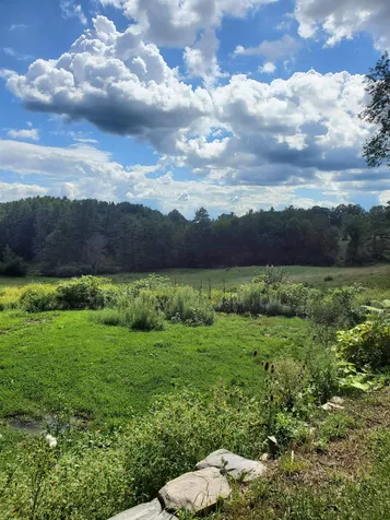 47 Thompson Road Walpole NH 03608