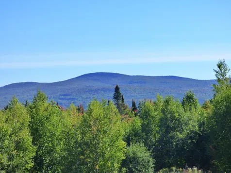 1462 Buck Hill Road Westfield VT 05874