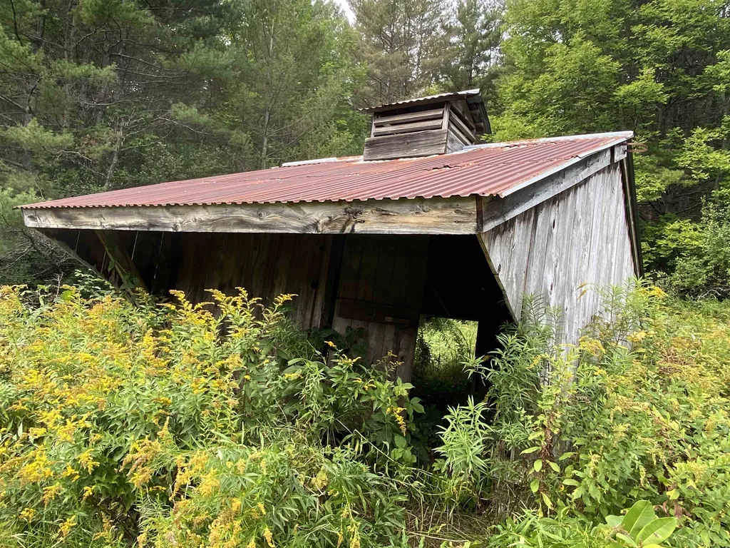 90 Downer Forest Road Strafford VT 05070