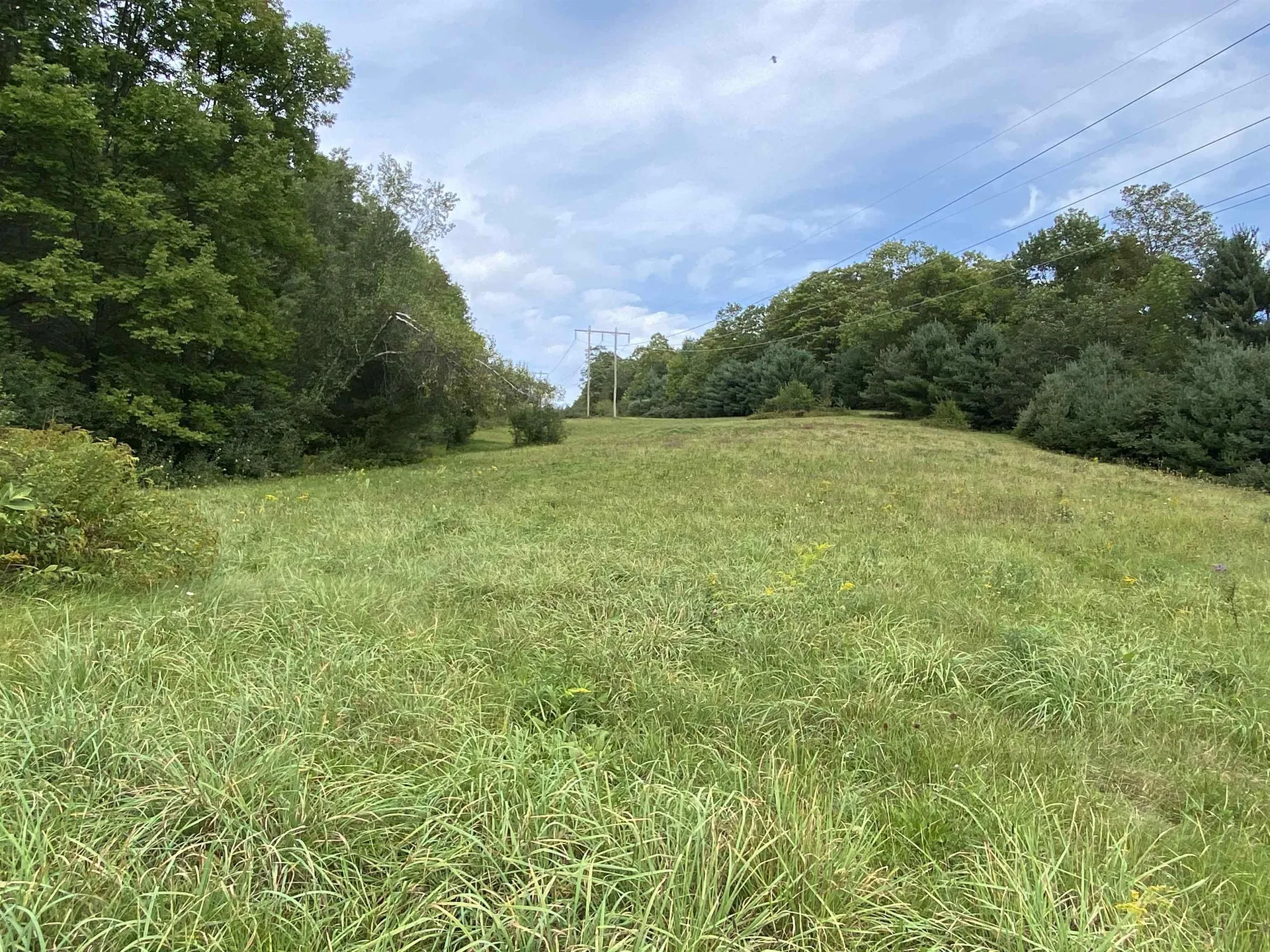 90 Downer Forest Road Strafford VT 05070