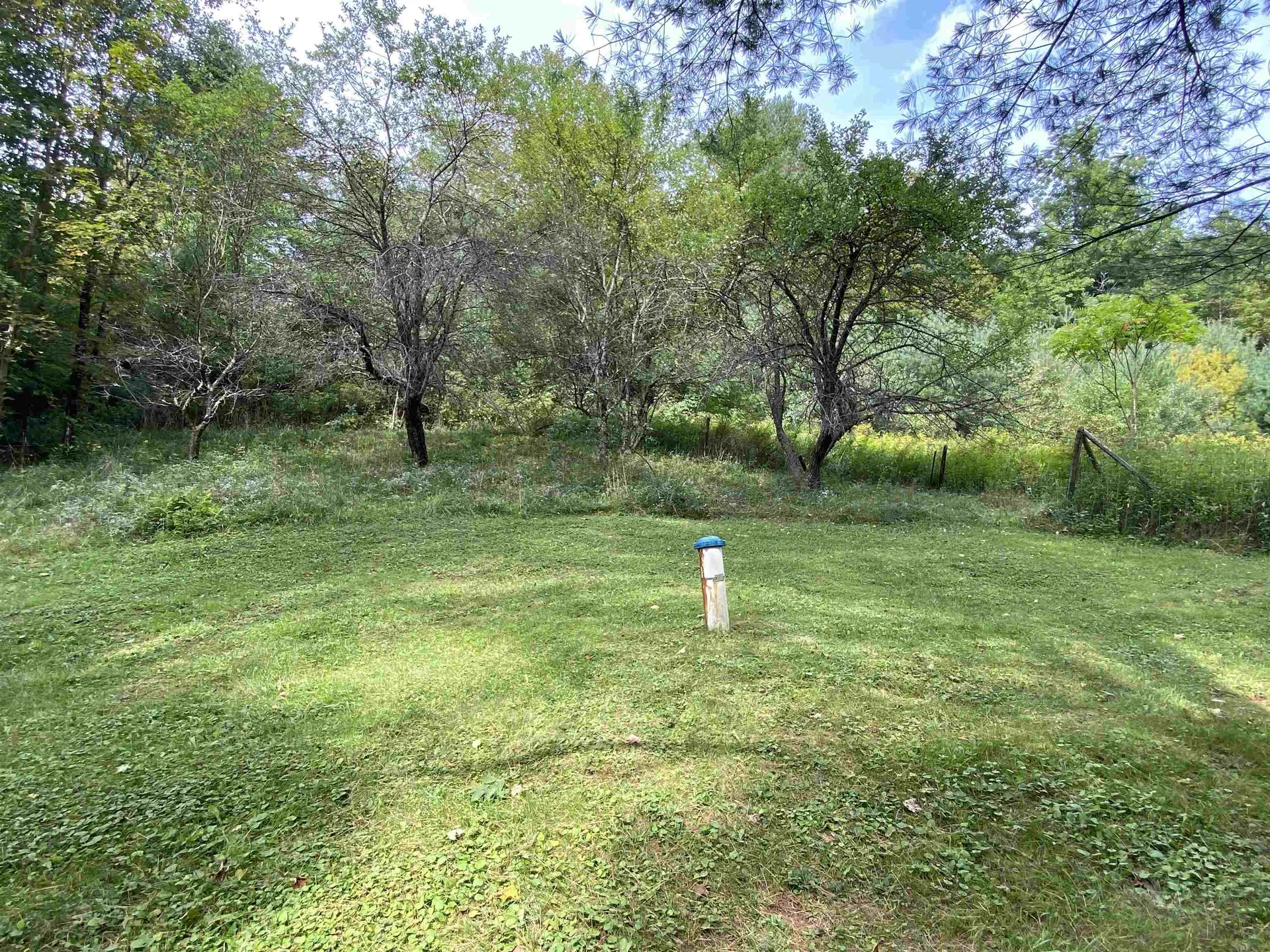 90 Downer Forest Road Strafford VT 05070