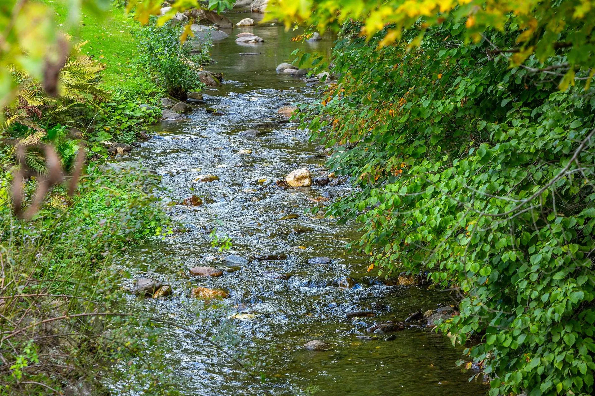 98 East Barnard Road Barnard VT 05031