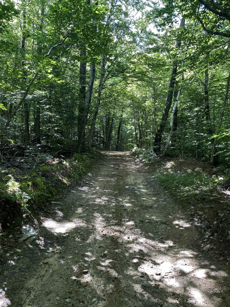 0 Old Gale Hill Road Shaftsbury VT 05262