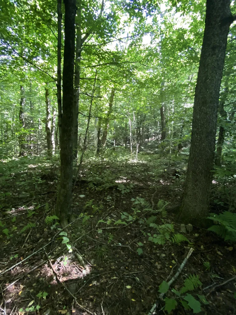 0 Old Gale Hill Road Shaftsbury VT 05262