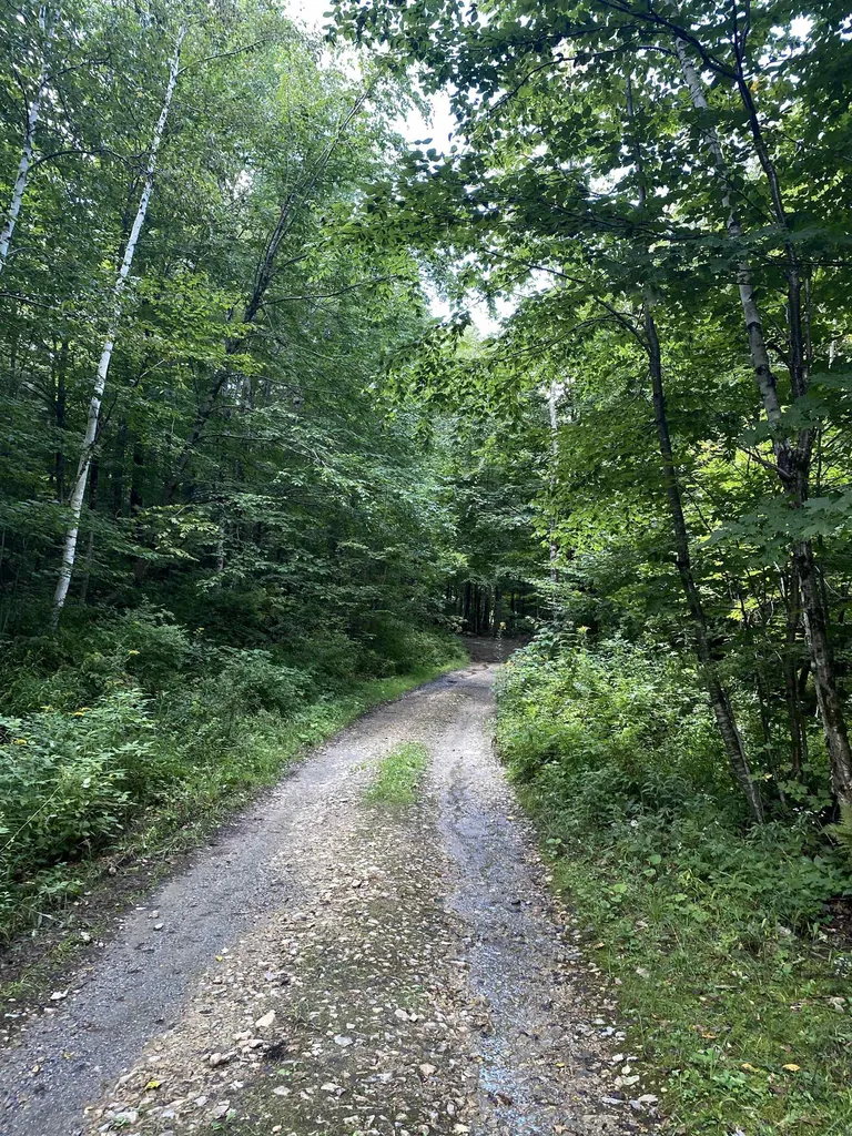 0 Old Gale Hill Road Shaftsbury VT 05262
