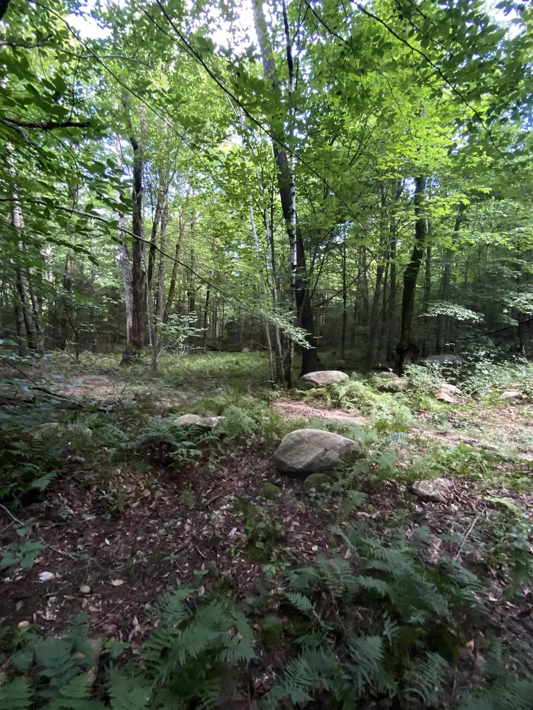 0 Old Gale Hill Road Shaftsbury VT 05262