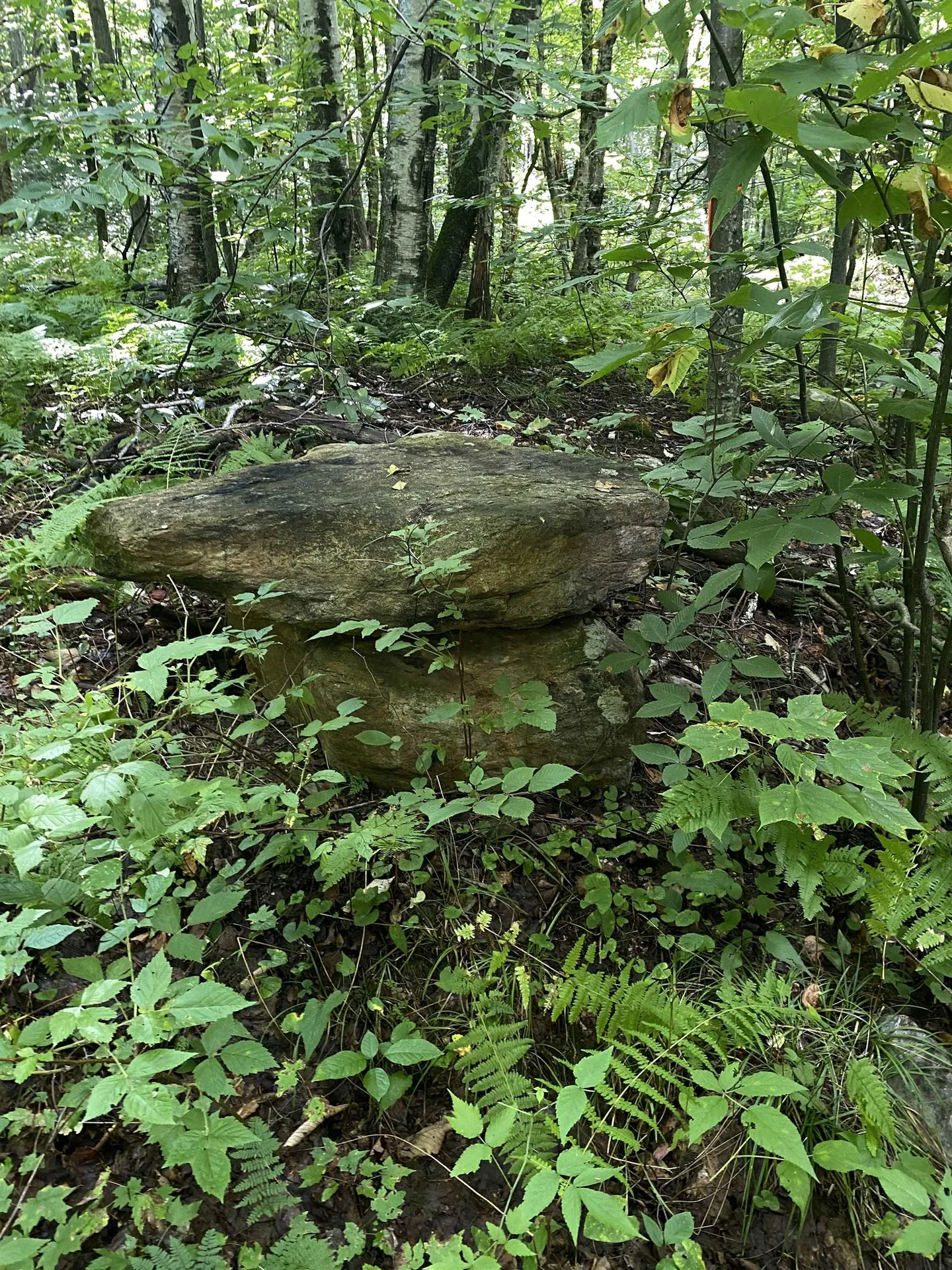 0 Old Gale Hill Road Shaftsbury VT 05262