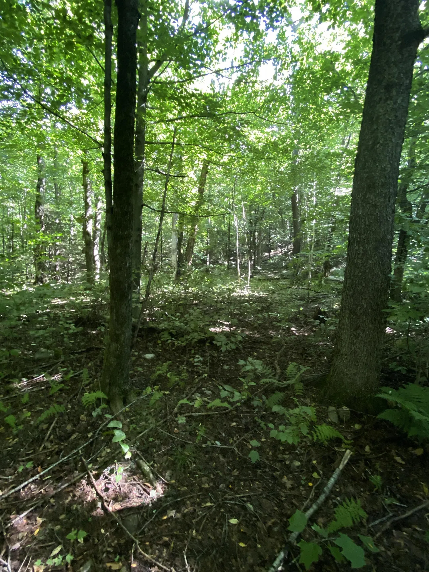 0 Old Gale Hill Road Shaftsbury VT 05262