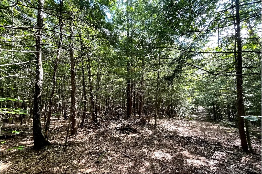 685 Candia Road Chester NH 03036