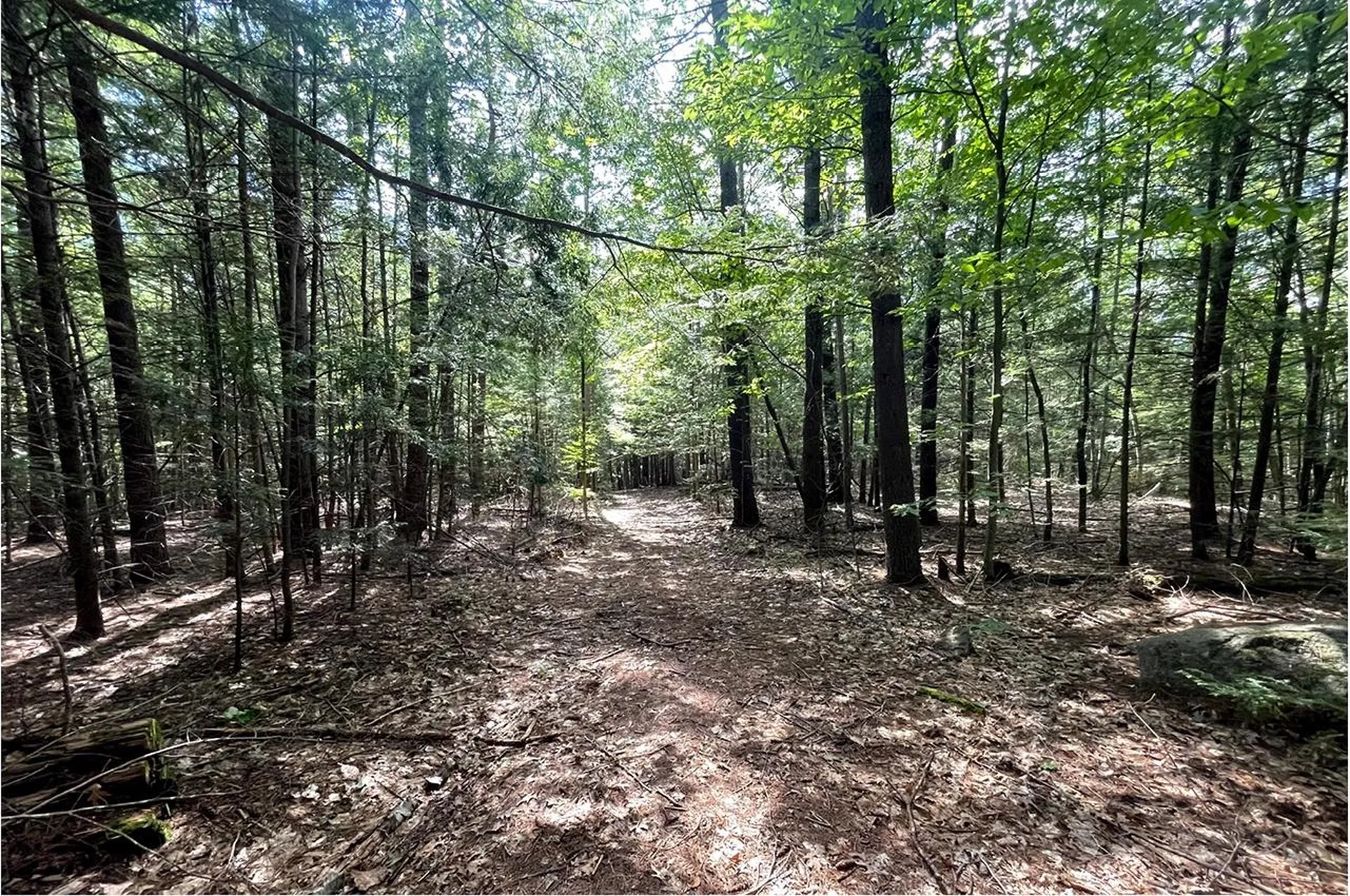 685 Candia Road Chester NH 03036