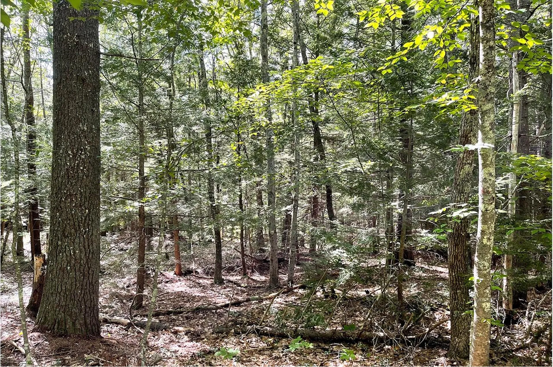 685 Candia Road Chester NH 03036