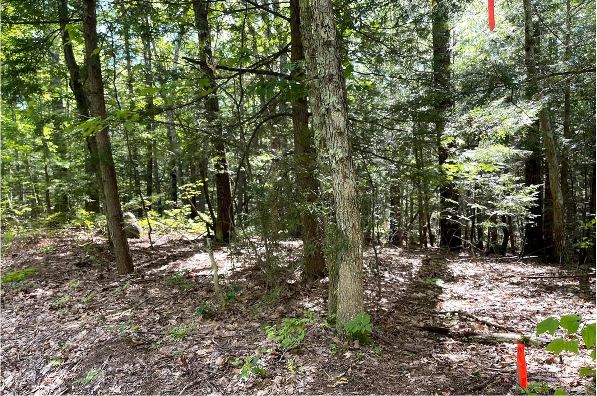 685 Candia Road Chester NH 03036