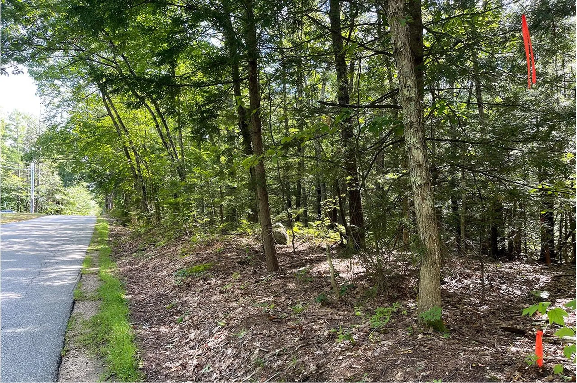 685 Candia Road Chester NH 03036