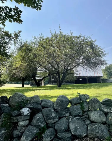 170 Eureka Road Springfield VT 05156