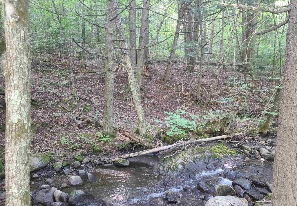 543 Justin Morrill Highway Strafford VT 05072