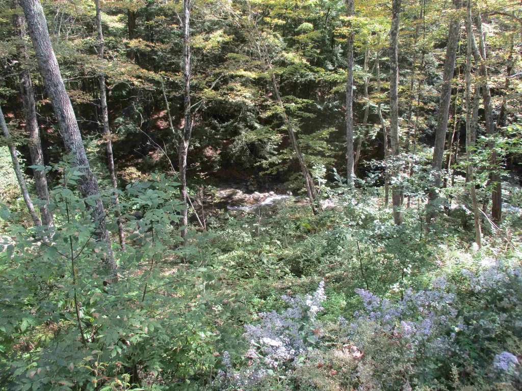 564 Vt Route 66 Randolph VT 05060