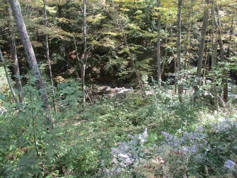 564 Vt Route 66 Randolph VT 05060