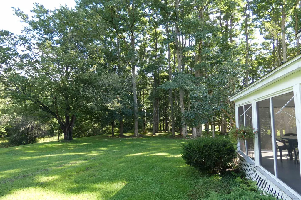 547 Lower Plains Road Salisbury VT 05769