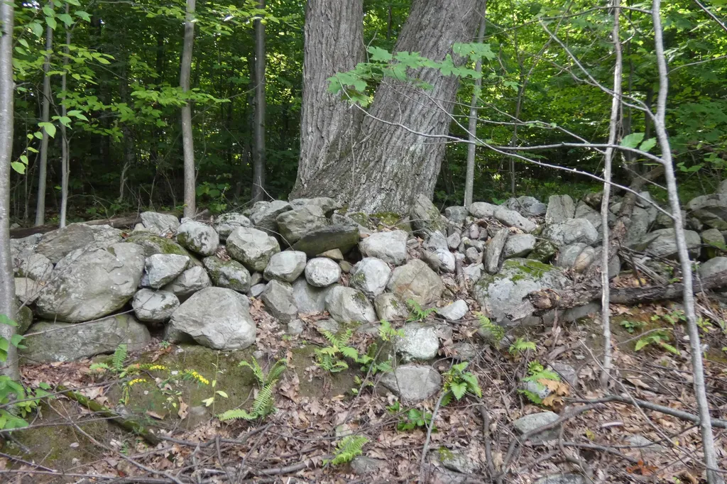 547 Lower Plains Road Salisbury VT 05769