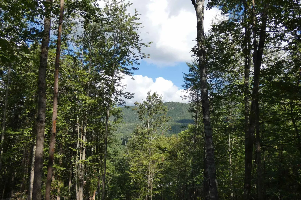 547 Lower Plains Road Salisbury VT 05769