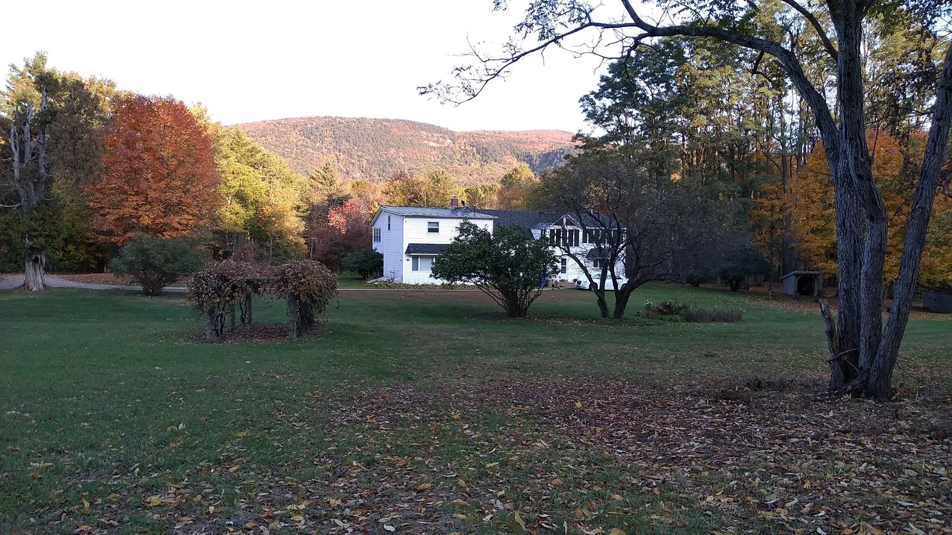 547 Lower Plains Road Salisbury VT 05769