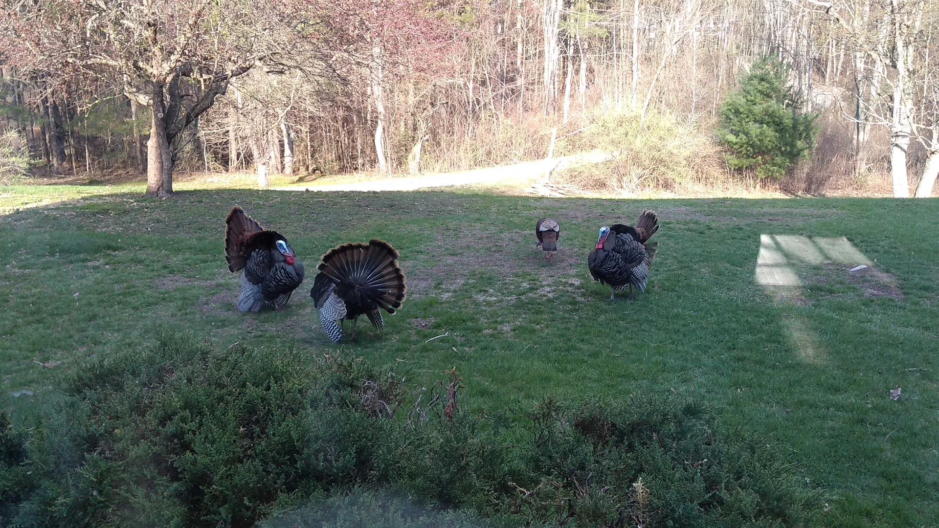 547 Lower Plains Road Salisbury VT 05769