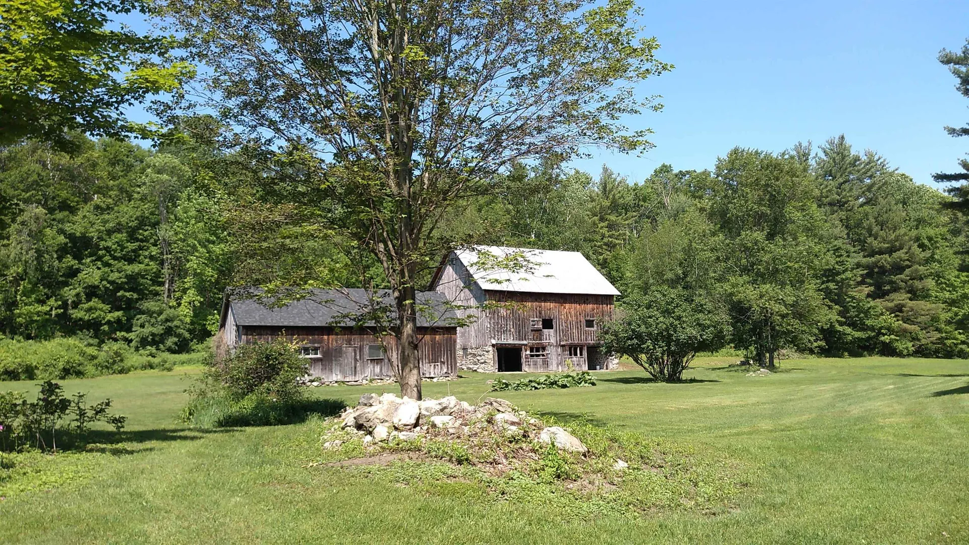 547 Lower Plains Road Salisbury VT 05769