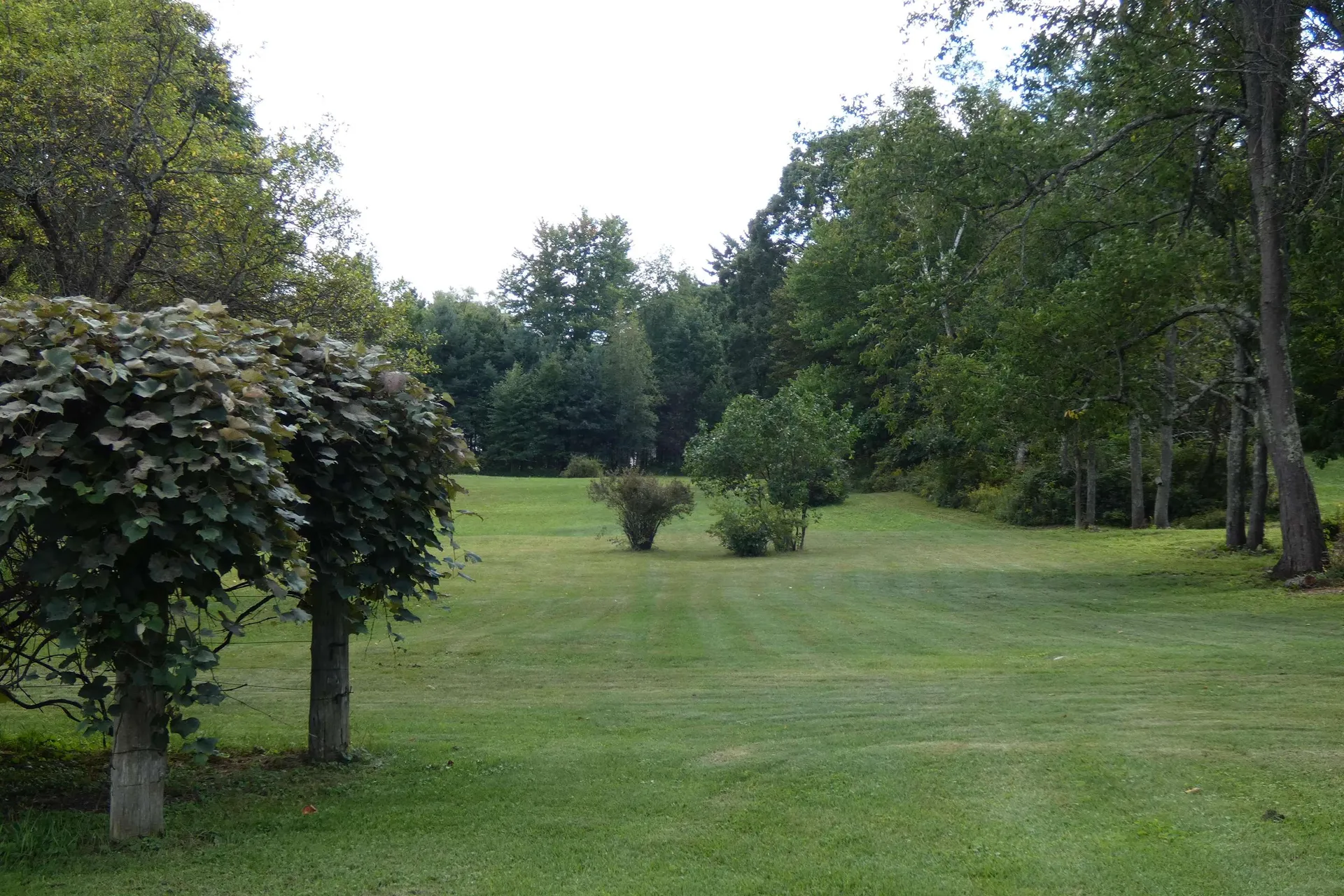 547 Lower Plains Road Salisbury VT 05769