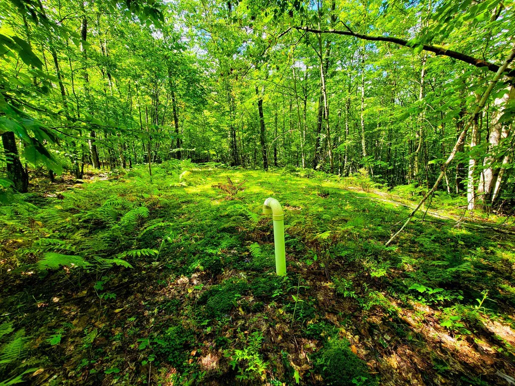 2 Marlow Road Washington NH 03456