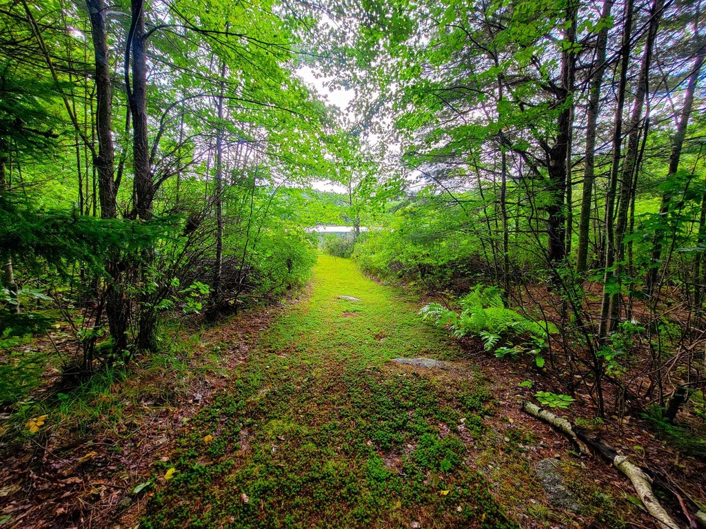 2 Marlow Road Washington NH 03456