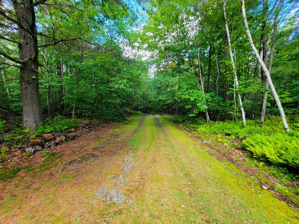 2 Marlow Road Washington NH 03456