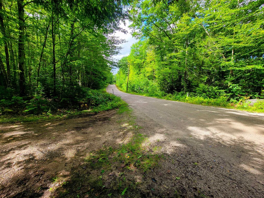 2 Marlow Road Washington NH 03456