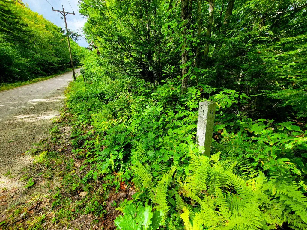 2 Marlow Road Washington NH 03456