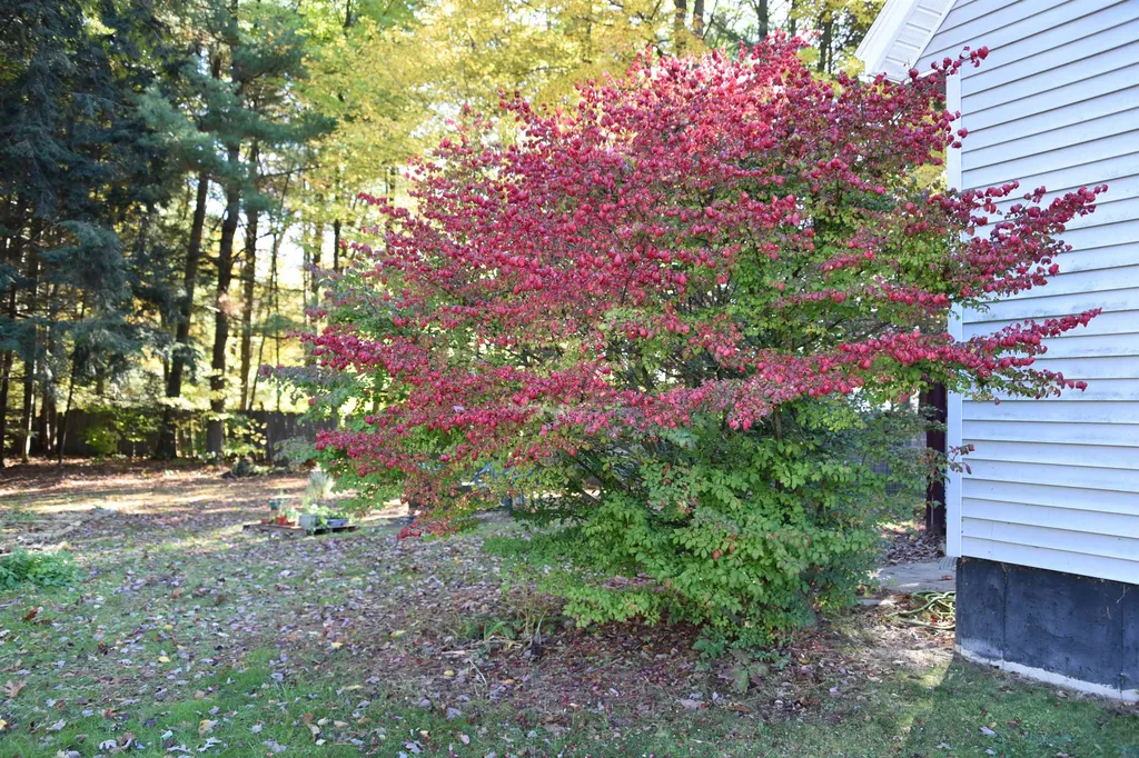 27 Chrisemily Lane Milton VT 05468