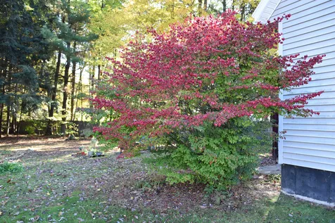27 Chrisemily Lane Milton VT 05468
