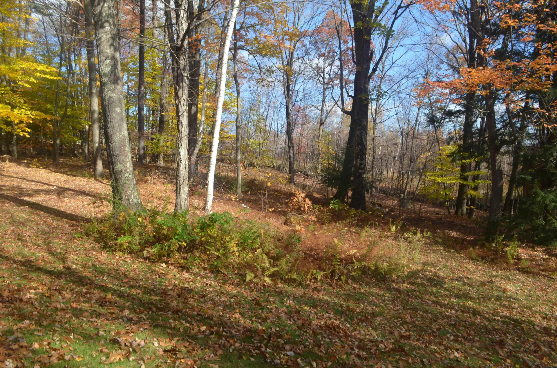 88 Pine Hill Road Henniker NH 03242