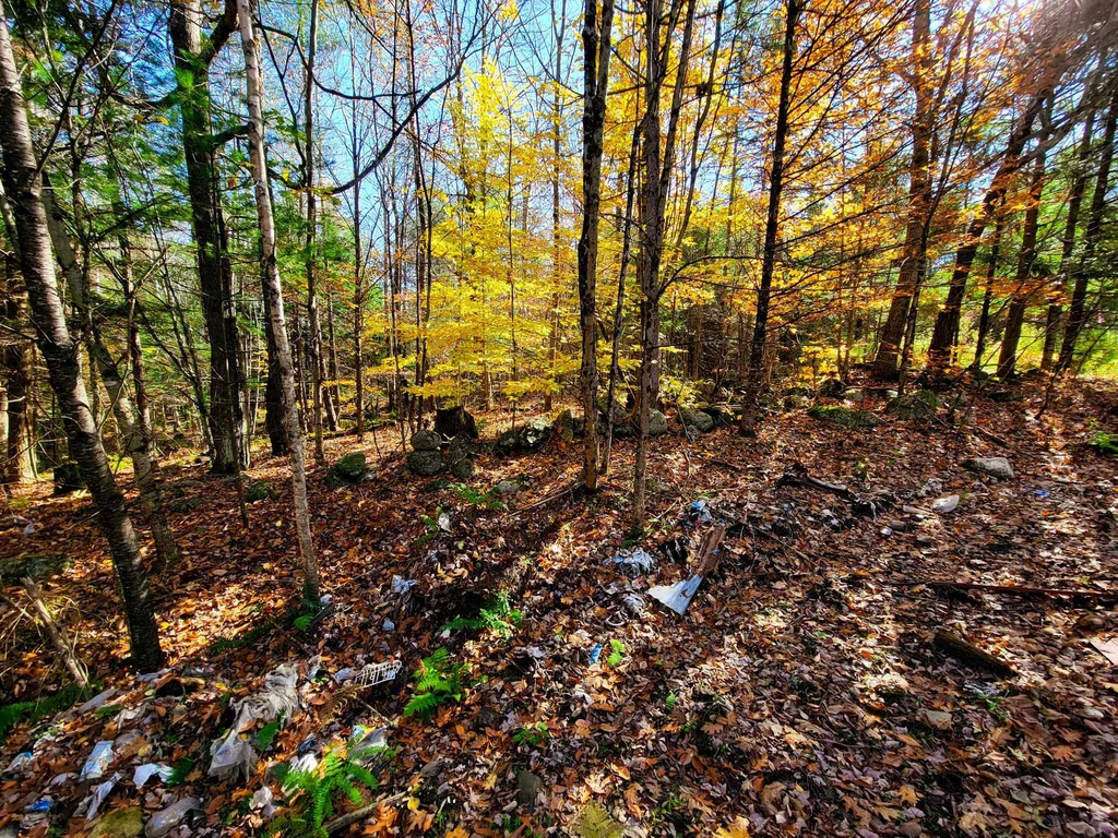 60 Kidder Road Bradford VT 05033