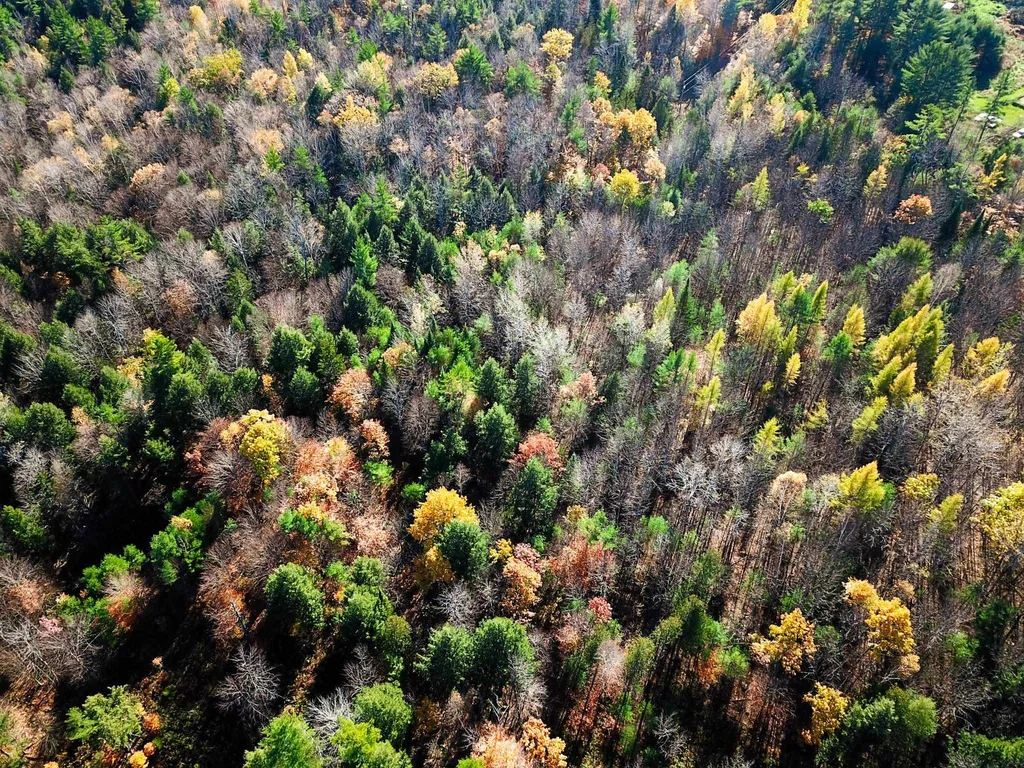 60 Kidder Road Bradford VT 05033