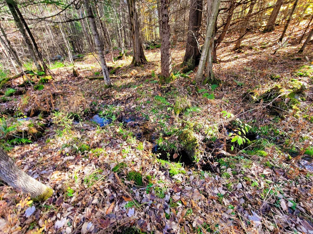 60 Kidder Road Bradford VT 05033