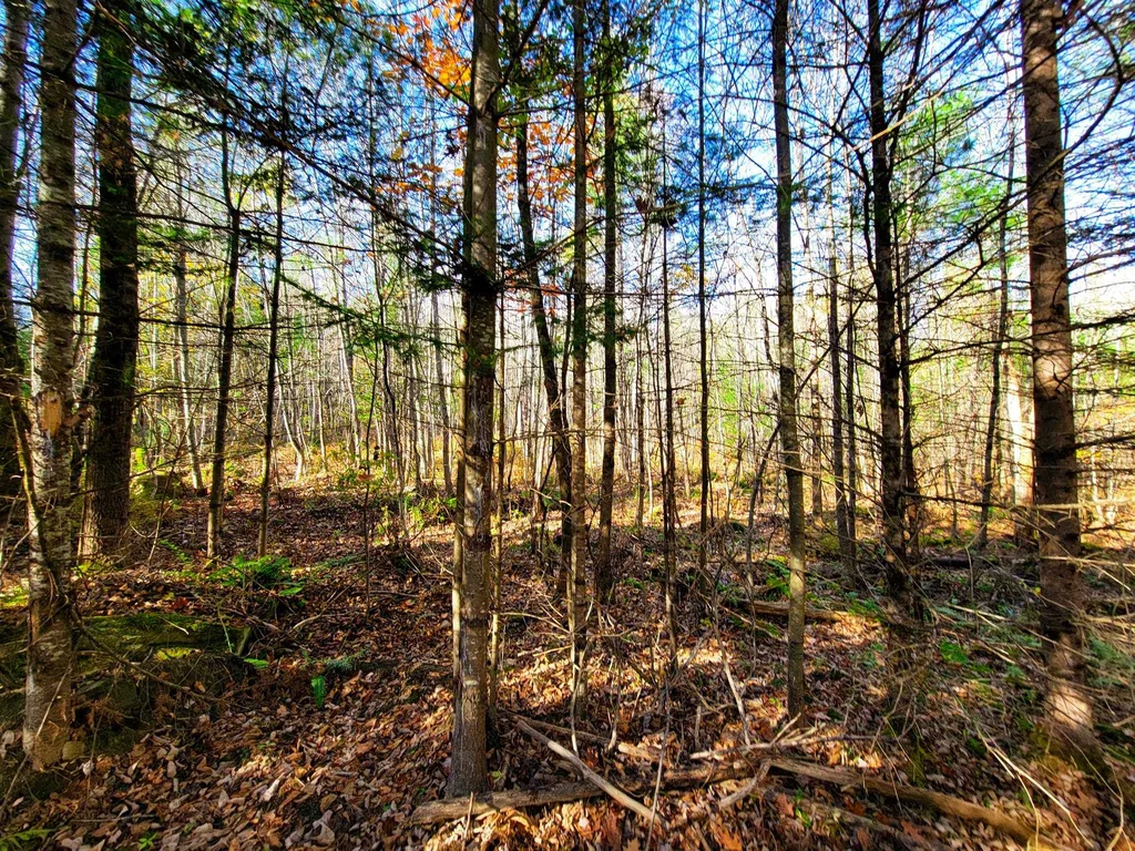 60 Kidder Road Bradford VT 05033