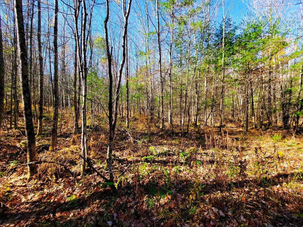 60 Kidder Road Bradford VT 05033