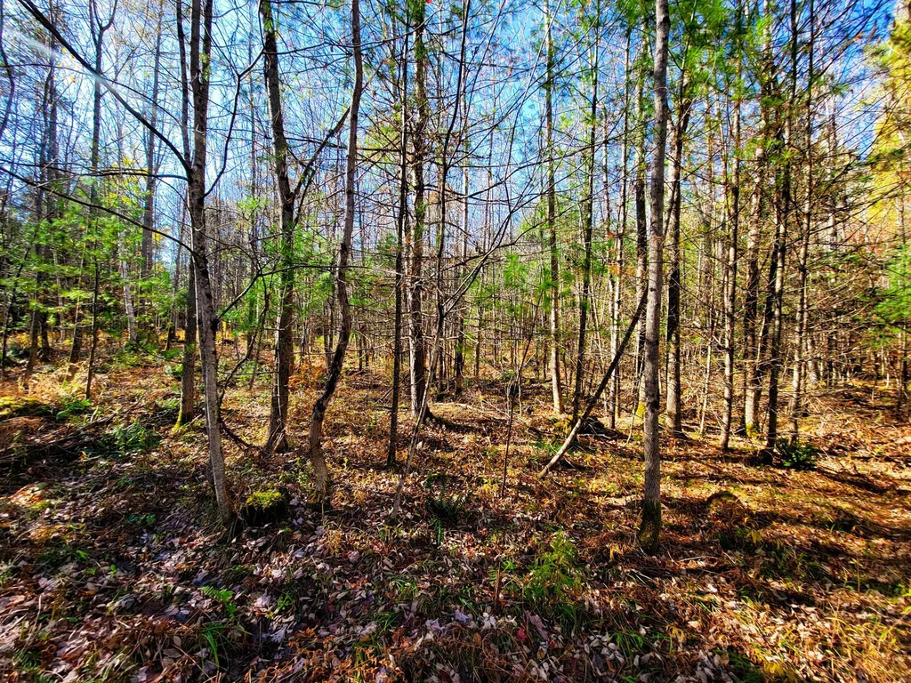60 Kidder Road Bradford VT 05033