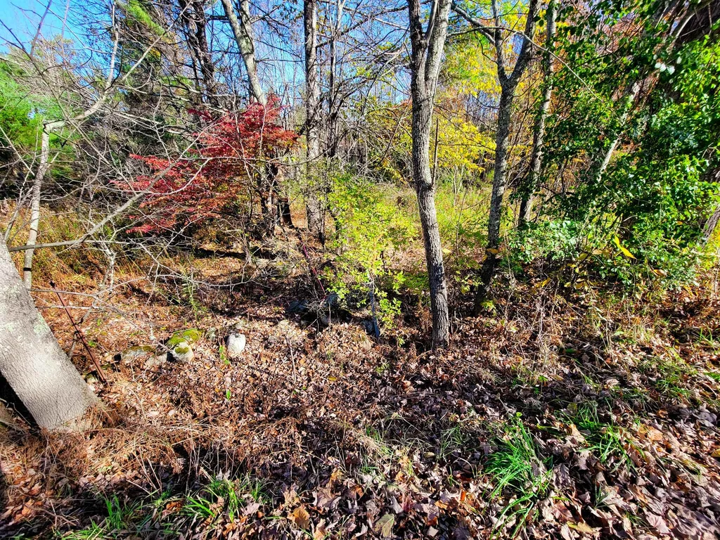 60 Kidder Road Bradford VT 05033
