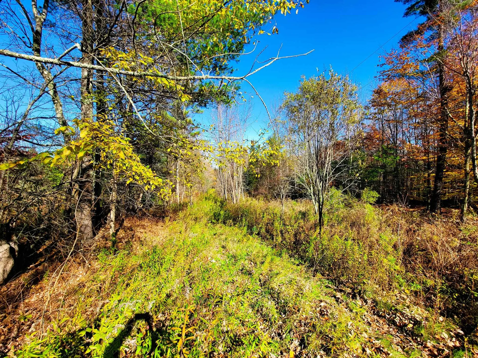 60 Kidder Road Bradford VT 05033