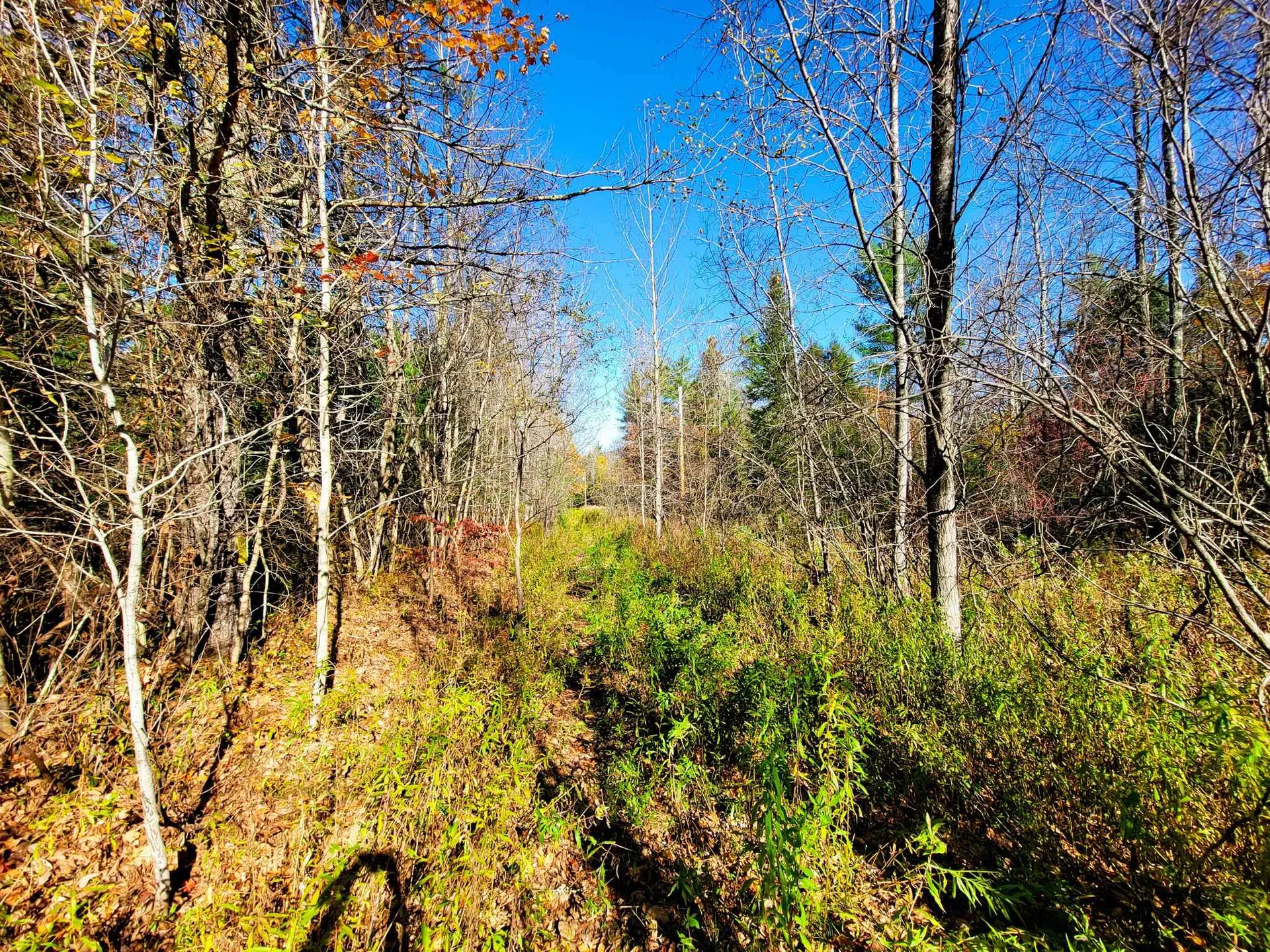60 Kidder Road Bradford VT 05033