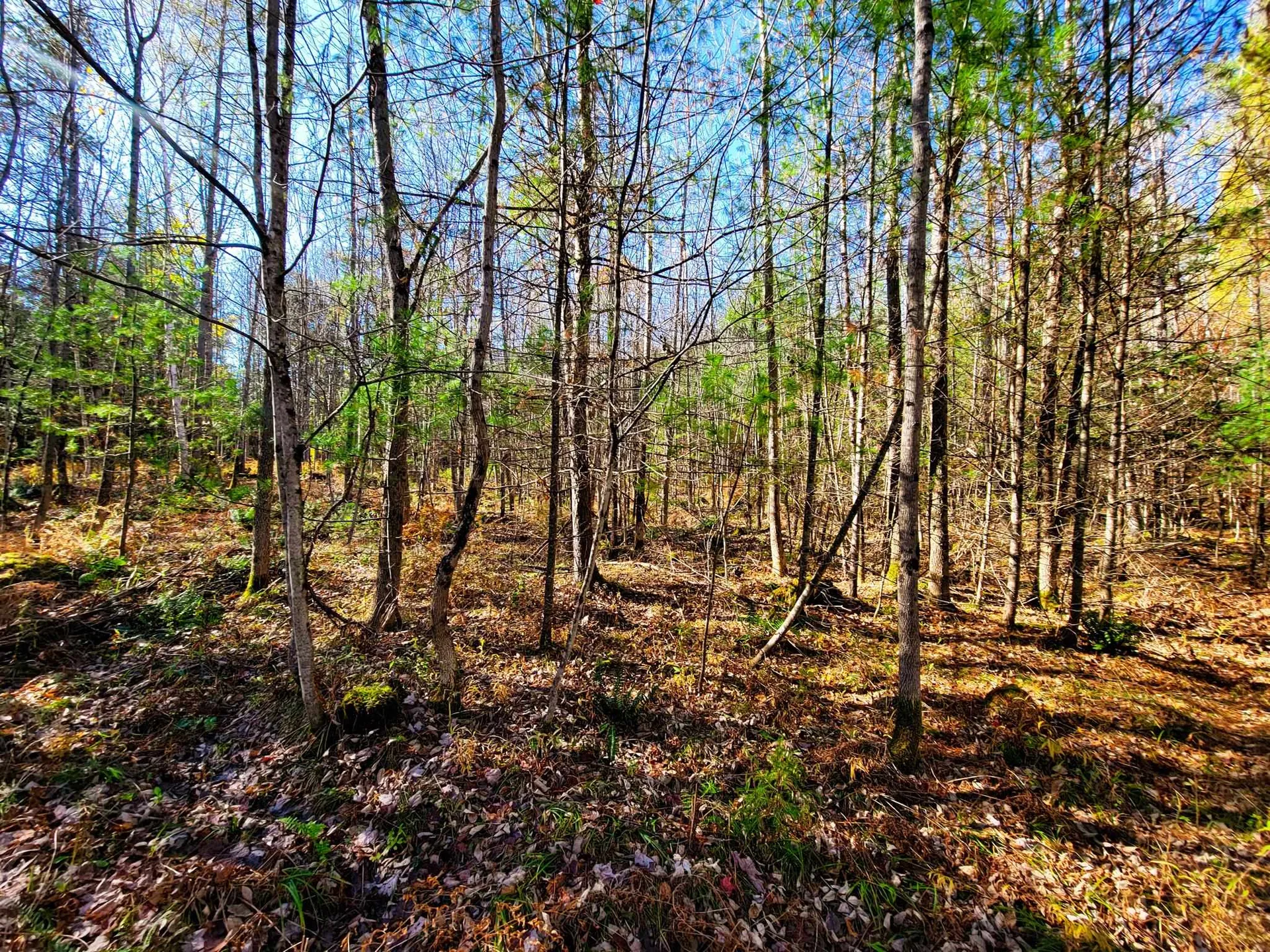 60 Kidder Road Bradford VT 05033